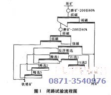 云南某选厂尾矿回收赤褐铁矿工艺研究图1