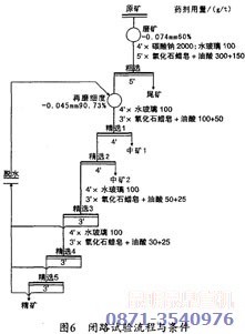 萤石矿浮选设备闭路试验流程图